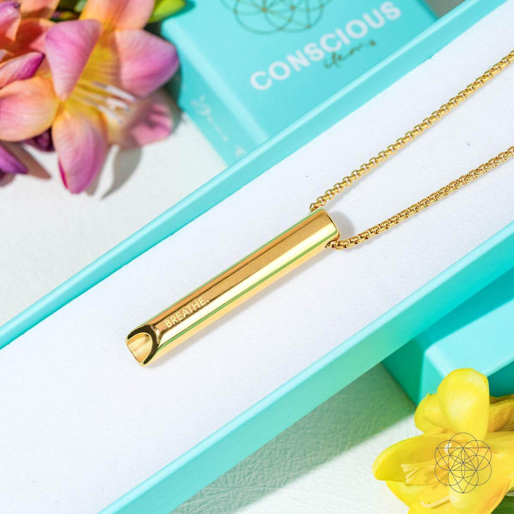 BREATHE. and Cycle Breaker - Mindfulness Breathing Necklaces: Silver CYCLE BREAKER