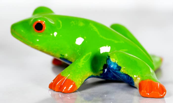 Marble Green Tree Frog 3
