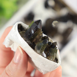 Smoky Quartz Clusters in a Flat (Small)