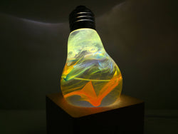 Solar System Lamp - Bulb and Base
